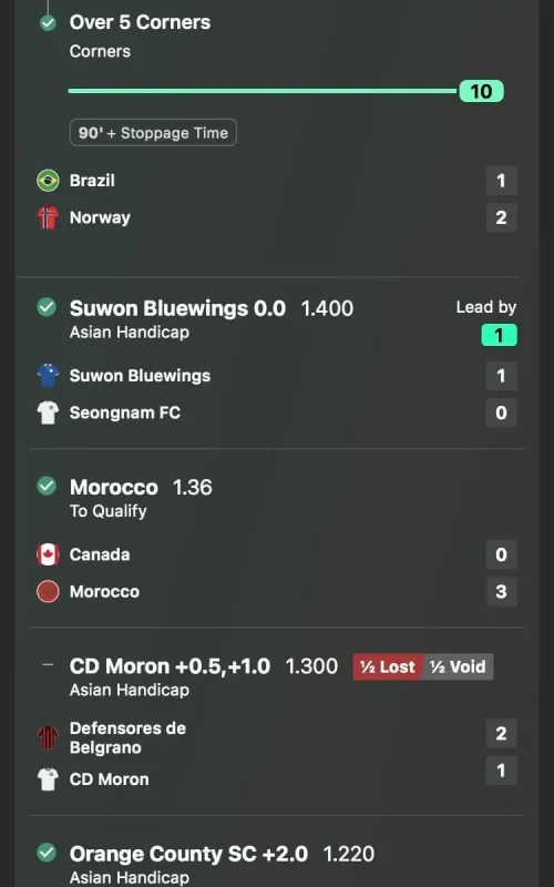 Megalodon Betting Tips VIP Ticket July 04-05 Megalodon Betting Tips ROI per month Megalodon Tips win rate megalodon picks Megalodon Betting Tips stats Megalodon Daily Tips Megalodon Soccer Parlays Megalodon Football Accas Megalodon Betting Tips profit July 2026